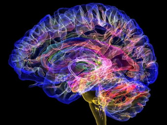国产mv骚b操大脑植入物有助于严重头部损伤恢复